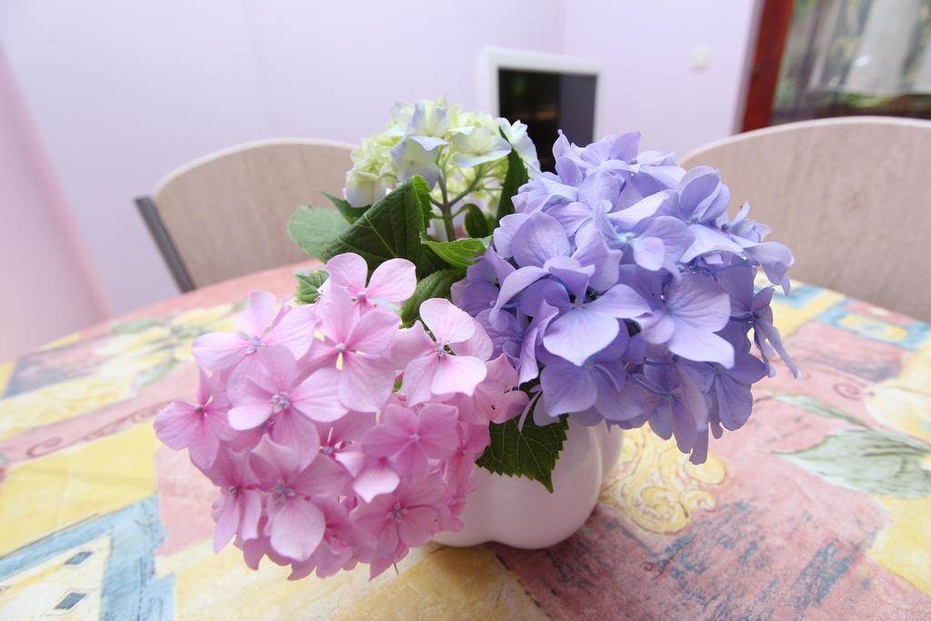 רוביני Apartments Grace מראה חיצוני תמונה